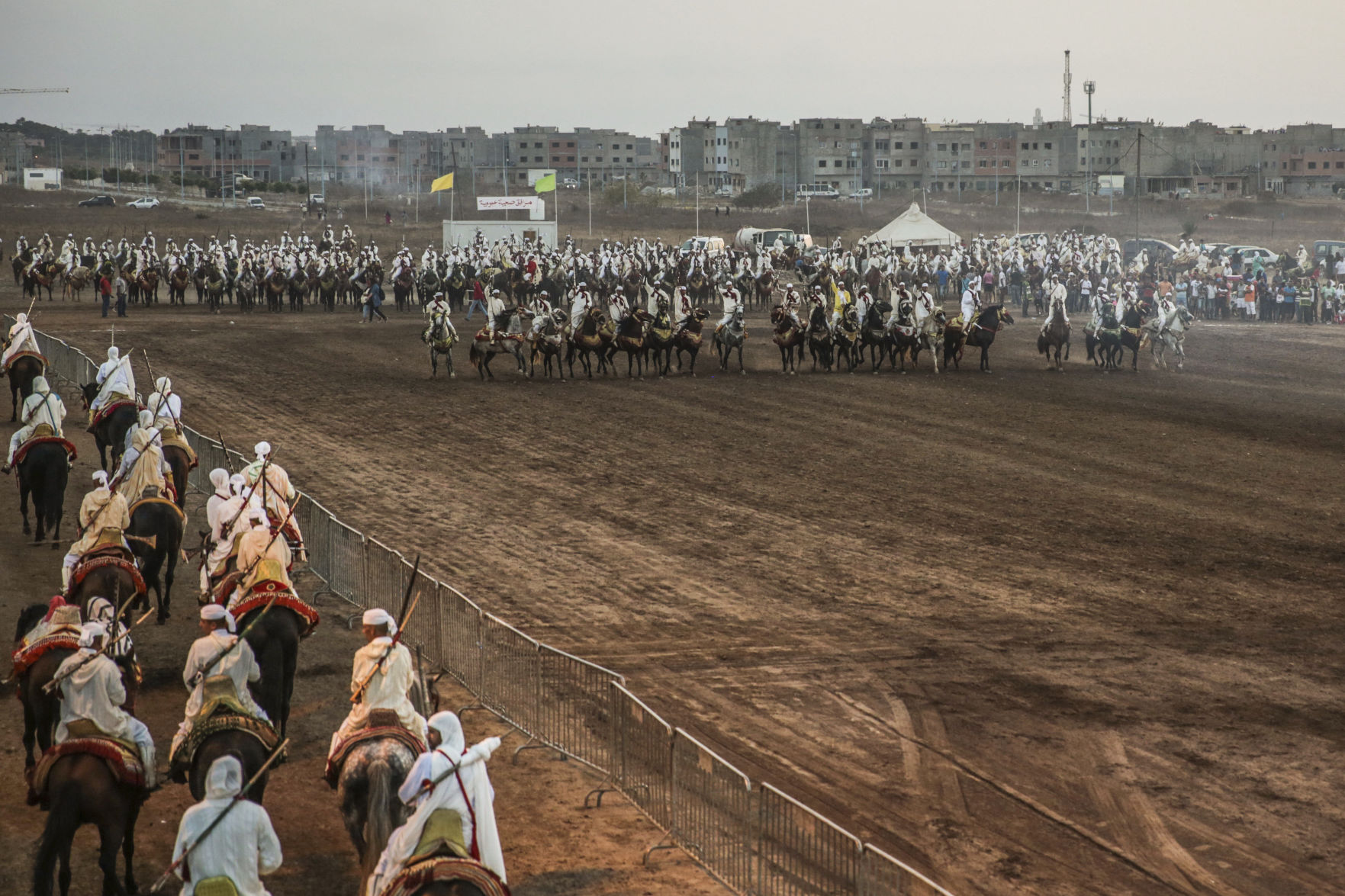 Morocco equine tradition